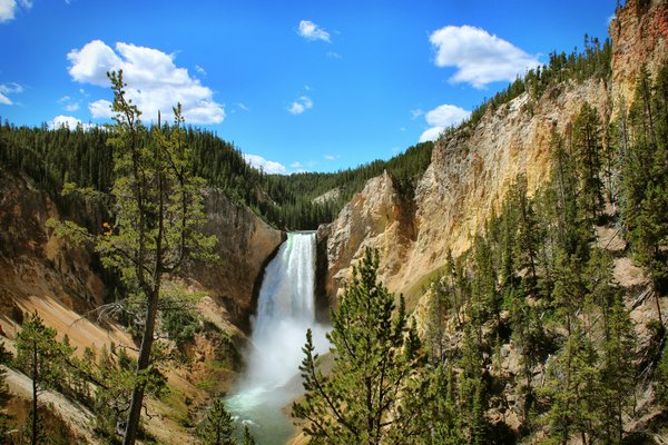 Comment organiser un safari photo dans le parc national de Yellowstone, USA ?