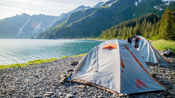 Quelles sont les meilleures méthodes pour camper en sécurité dans des zones de marécages ?