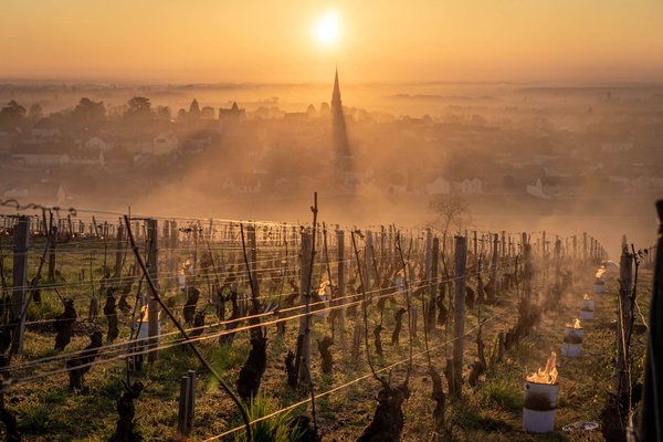 Quels sont les meilleurs parcours de randonnée dans les vignobles cachés de Géorgie ?